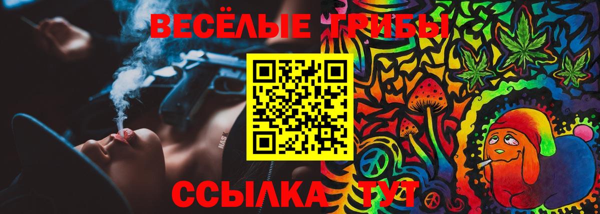 Псилоцибиновые грибы мухоморы Зерноград